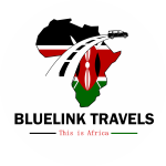 cropped-Reviews-Bluelink-Travels-logo-1-300x300